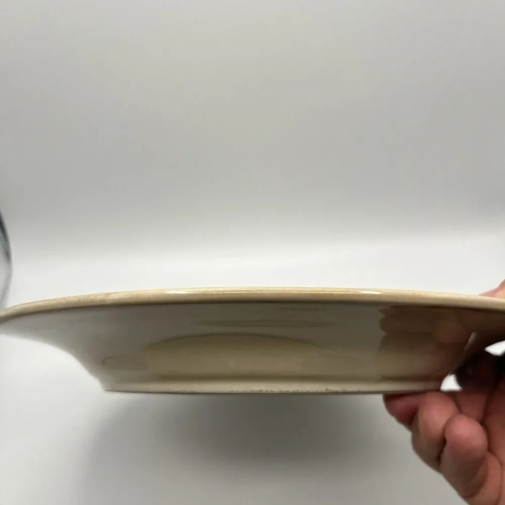 3 Pier 1 Imports- SPICE ROUTE - SESAME - 10-3/4” Round Dinner Plates